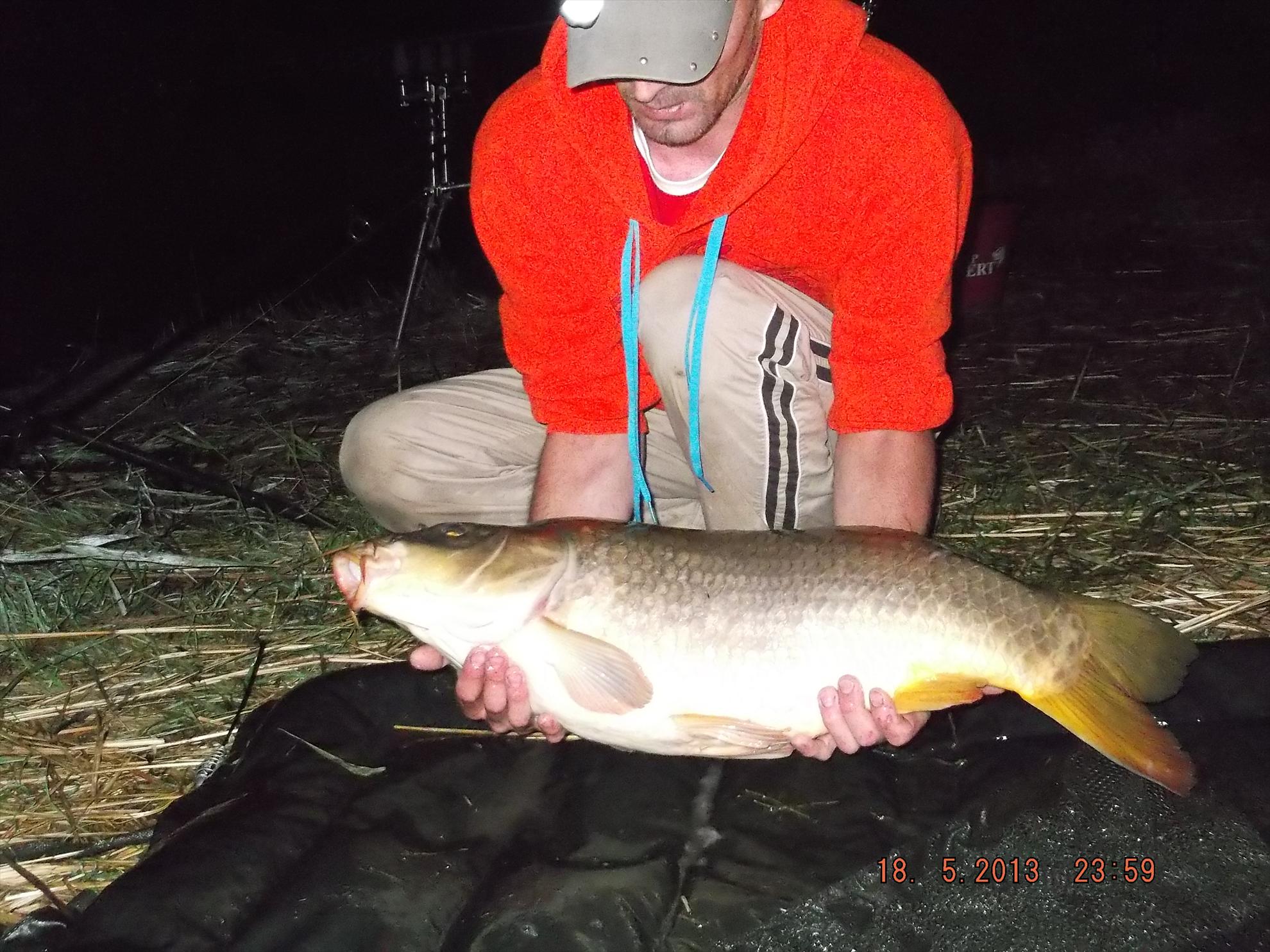 noaptea partea a ll - dscf0581.JPG